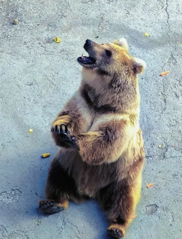 11-2月哈尔滨纯玩旅游攻略‼️请听劝‼️