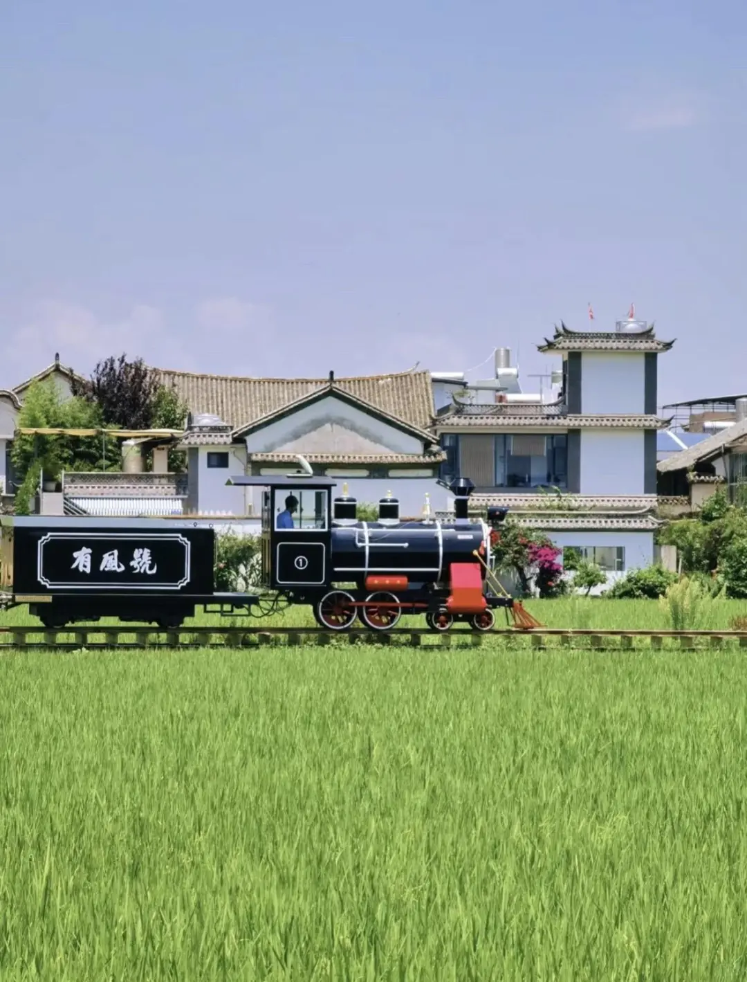 后悔才知道❗云南纯玩团|纯玩度假🔥bi选