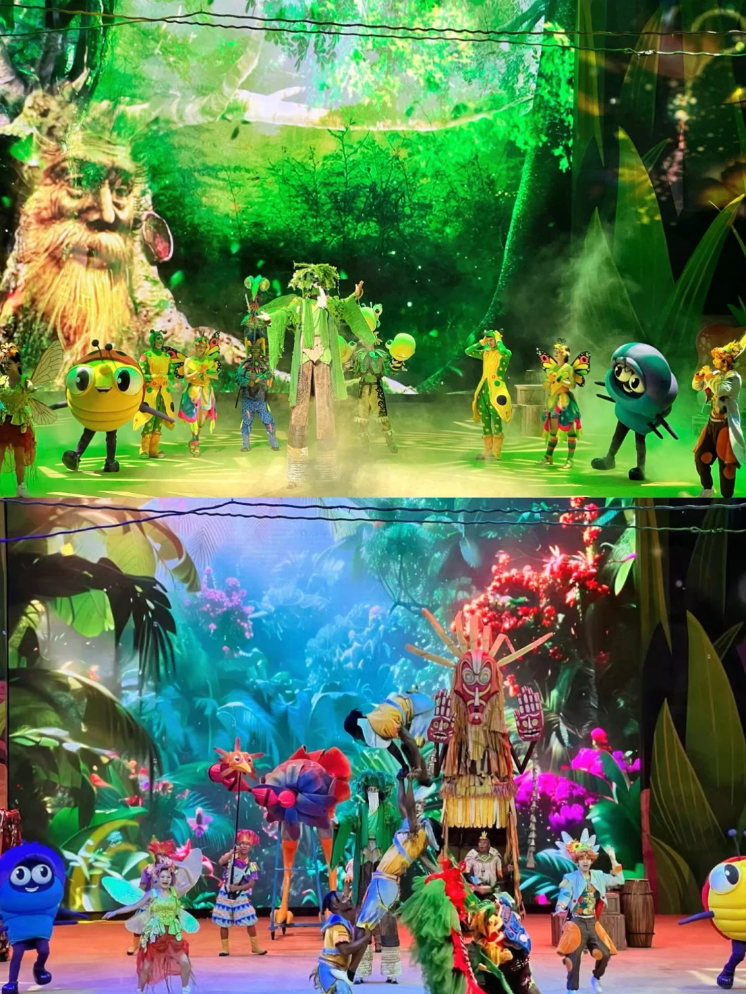 金秋特惠遛娃选清远长隆!火热抢订🔥