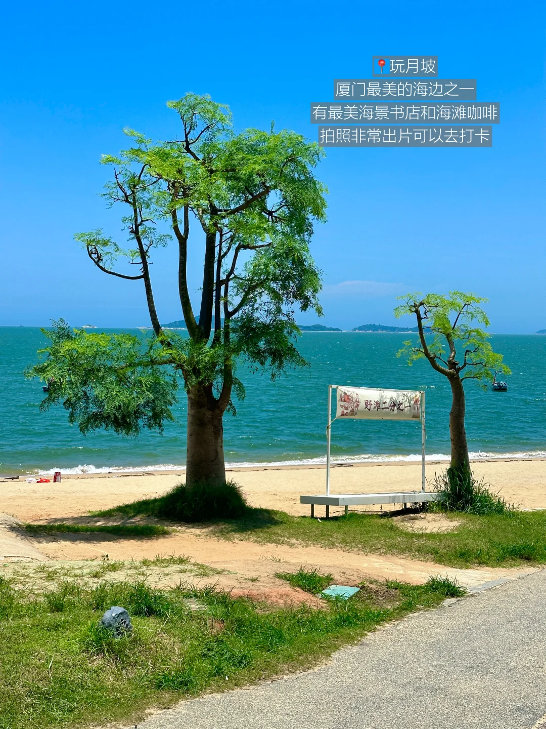 厦门不止鼓浪屿！！我超爱的1️⃣6️⃣个地方🏖️