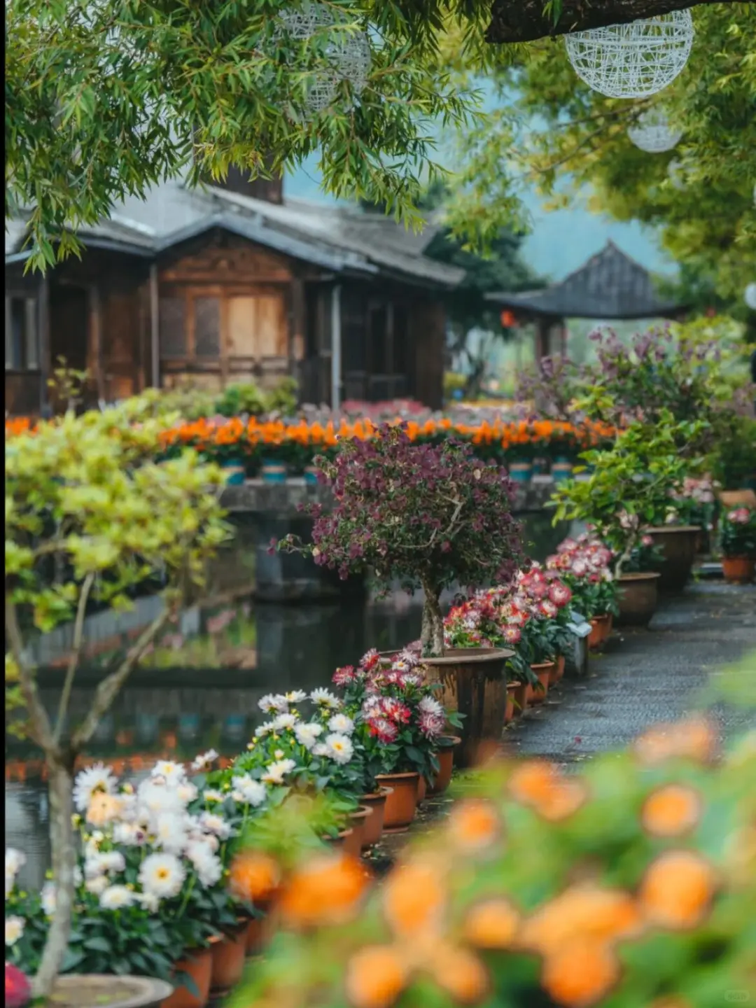 谁懂啊❗去云南✨朋友们都以为我出国了😆