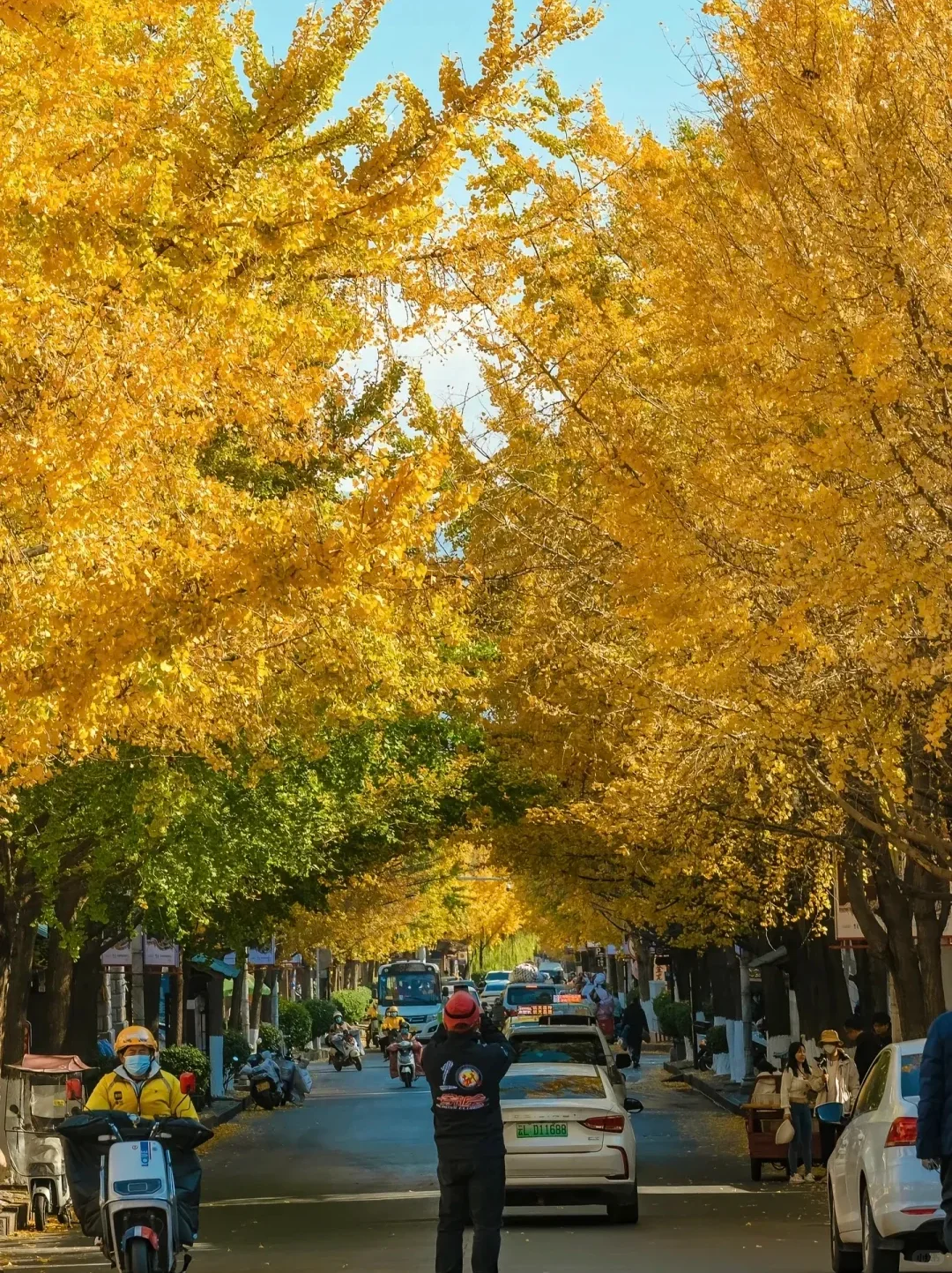 大理秋冬攻略🌅避开人潮玩出诗意🫧
