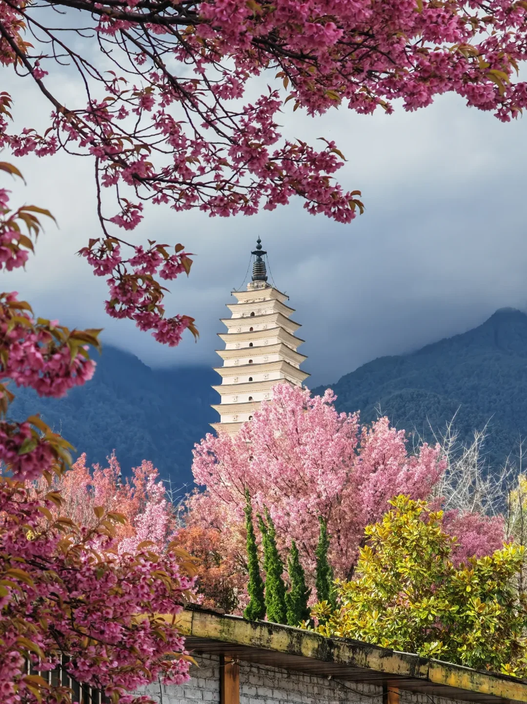 大理秋冬攻略🌅避开人潮玩出诗意🫧