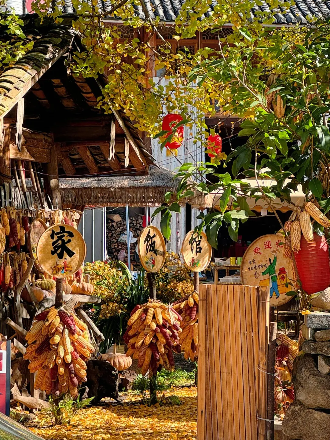 谁懂啊❗去云南✨朋友们都以为我出国了😆