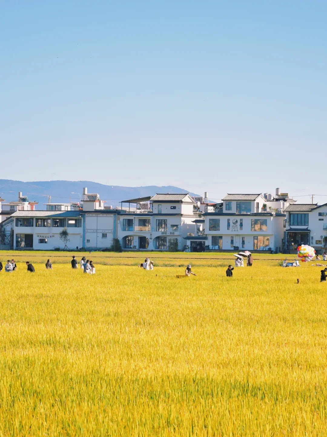 大理秋冬攻略🌅避开人潮玩出诗意🫧