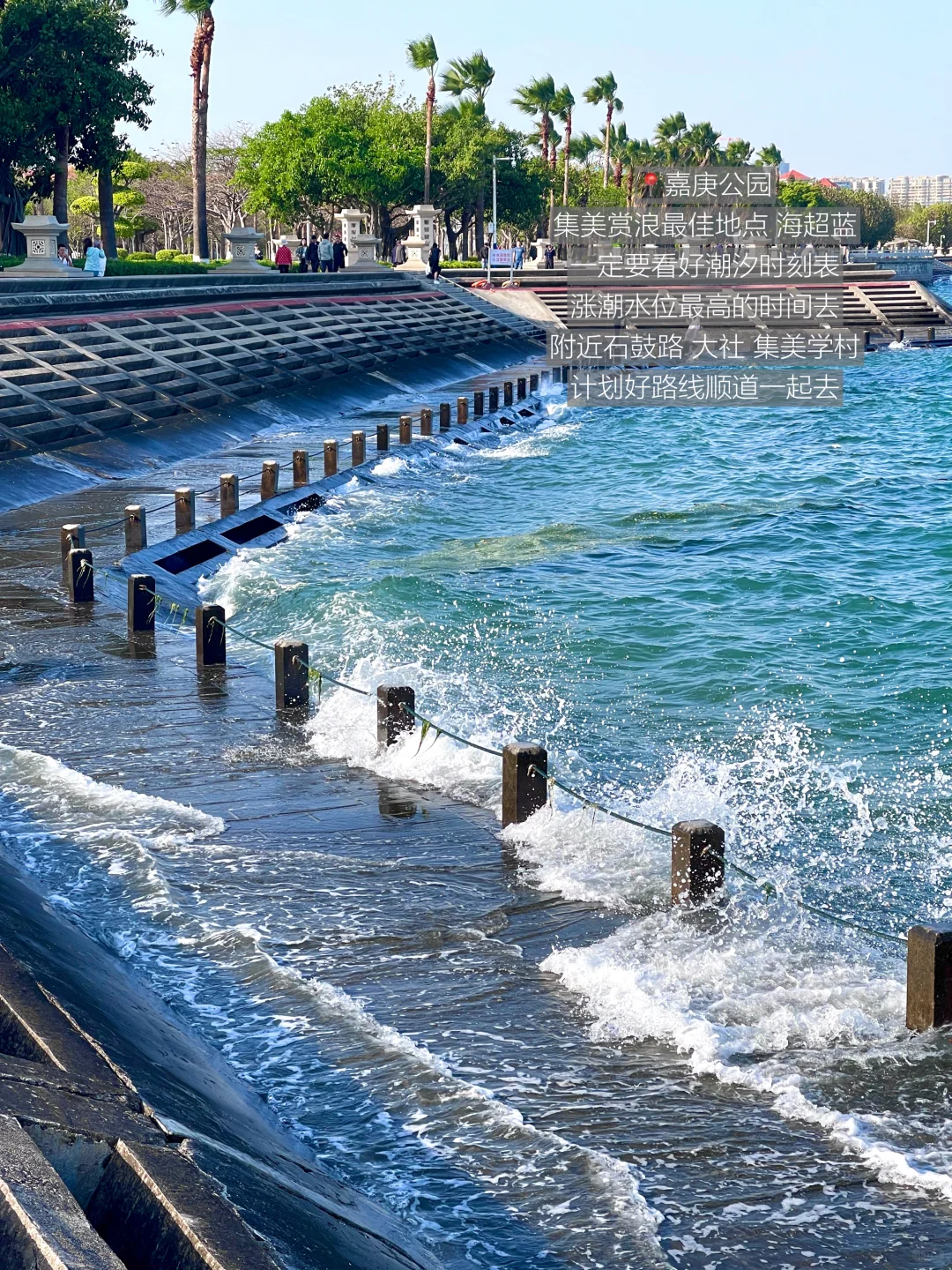 厦门不止鼓浪屿！！我超爱的1️⃣6️⃣个地方🏖️