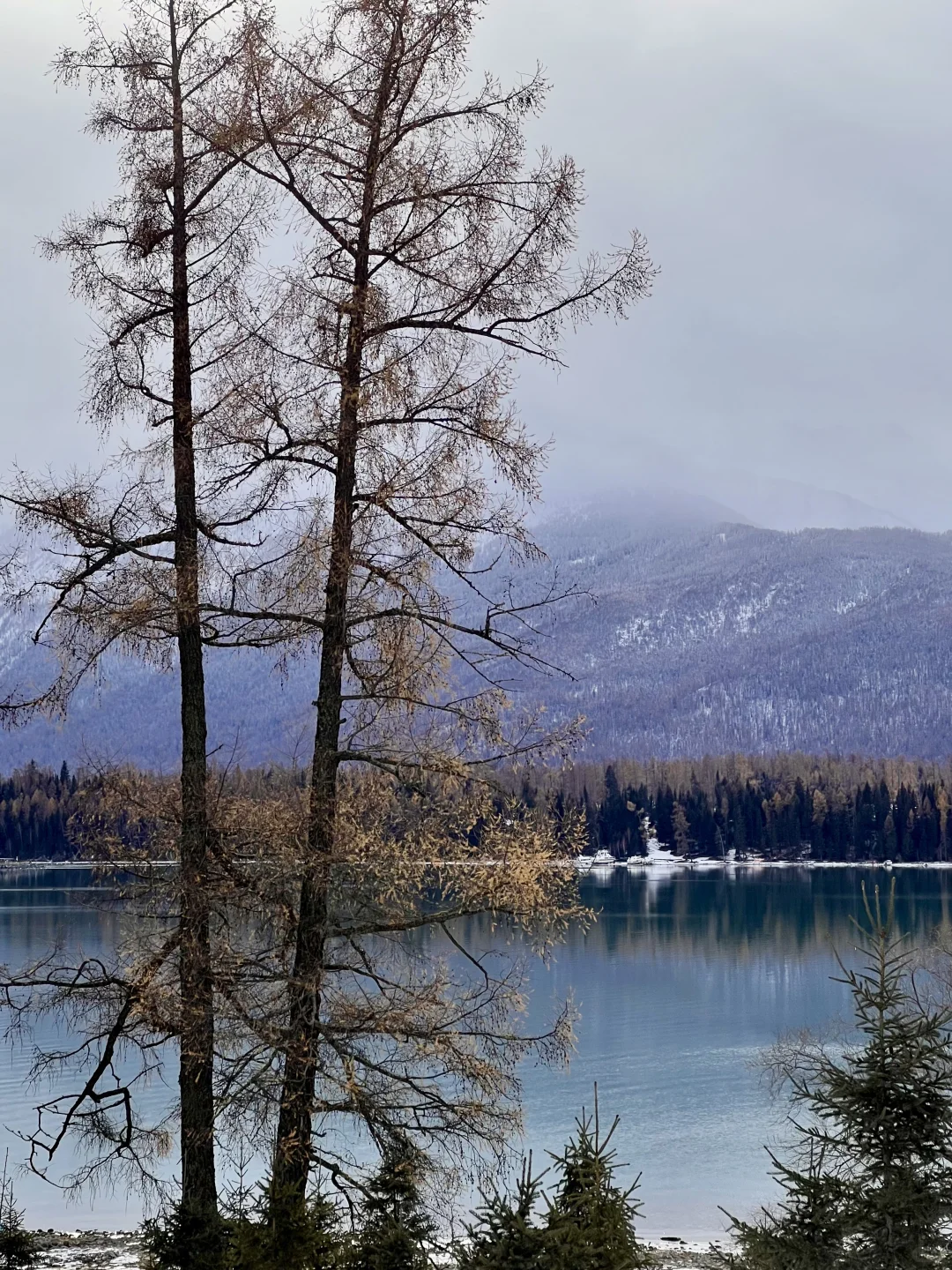 阿勒泰9天8晚旅行花费