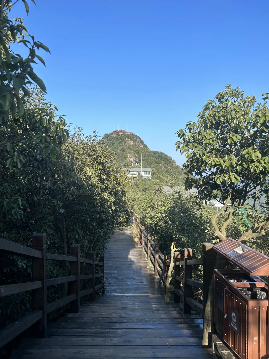 狗狗友好景区嘿嘿嘿