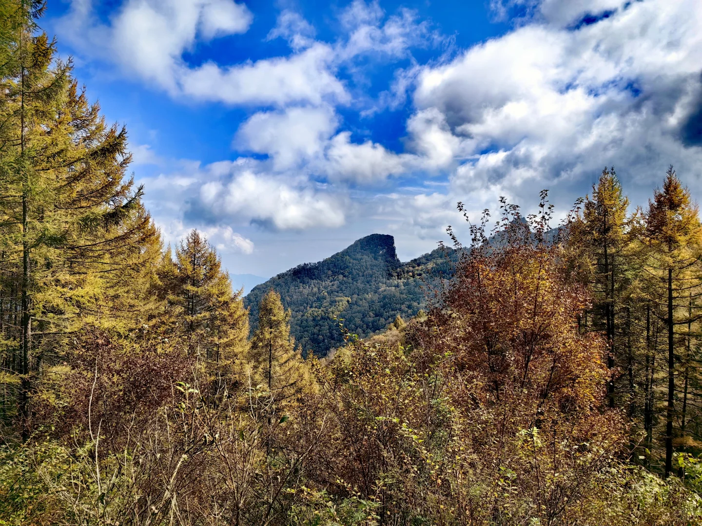 石家庄|没去新疆阿勒泰，被这里美哭了！