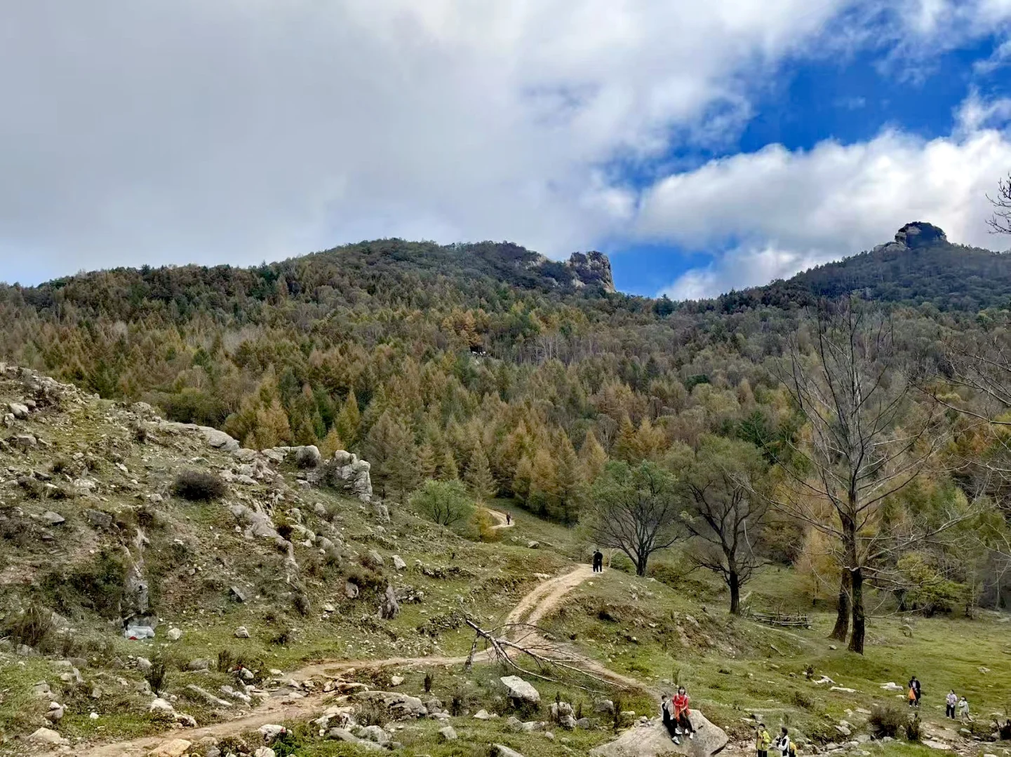 石家庄|没去新疆阿勒泰，被这里美哭了！