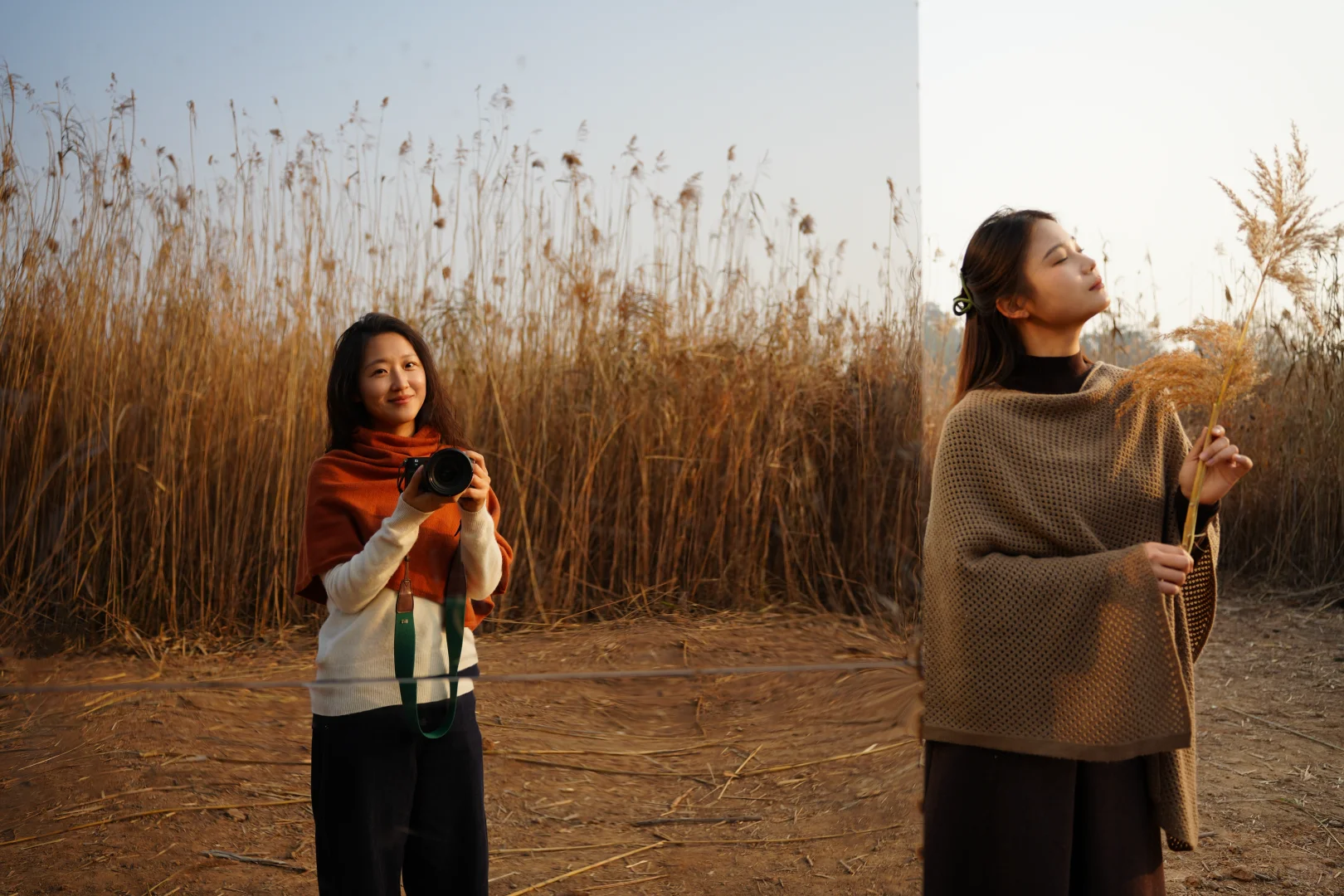 有一种美，叫岳阳的芦苇