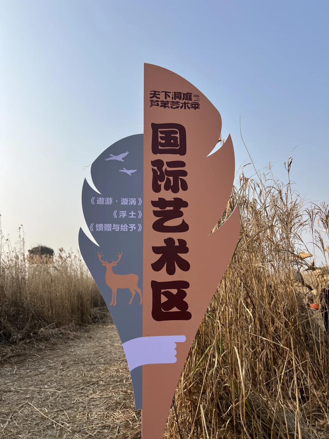 有一种美，叫岳阳的芦苇