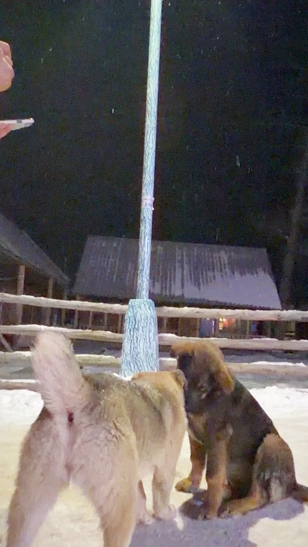 ⚠️阿勒泰市区自驾白哈巴