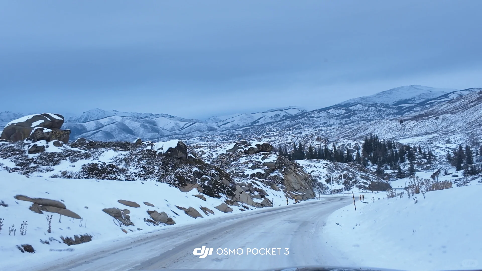 ⚠️阿勒泰市区自驾白哈巴