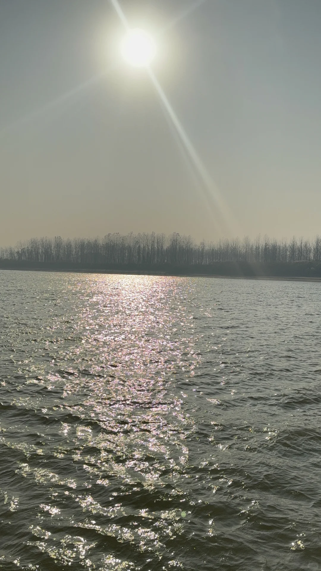 小岛秋天|龙鳞沙滩看实况图有落叶,江风声