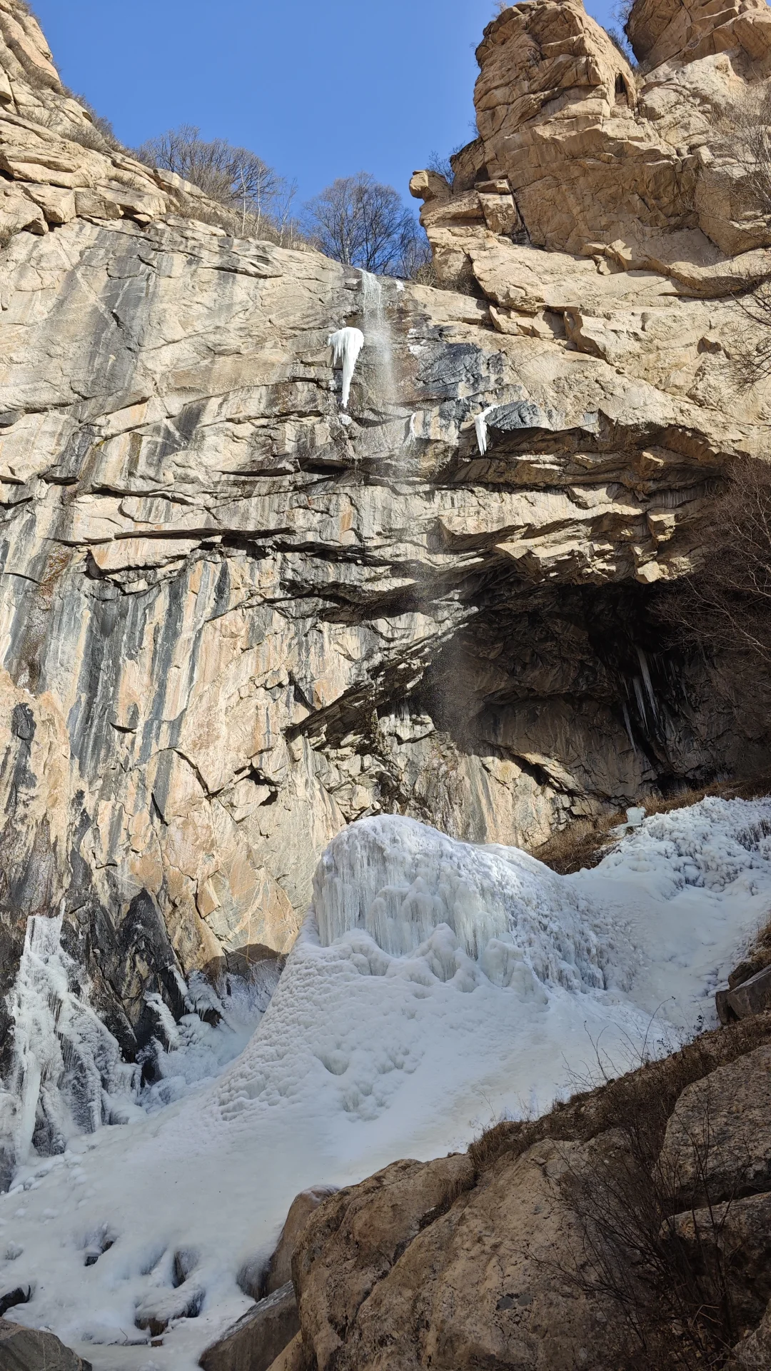 11月23日国际庄周边冬天好去处往这看😏