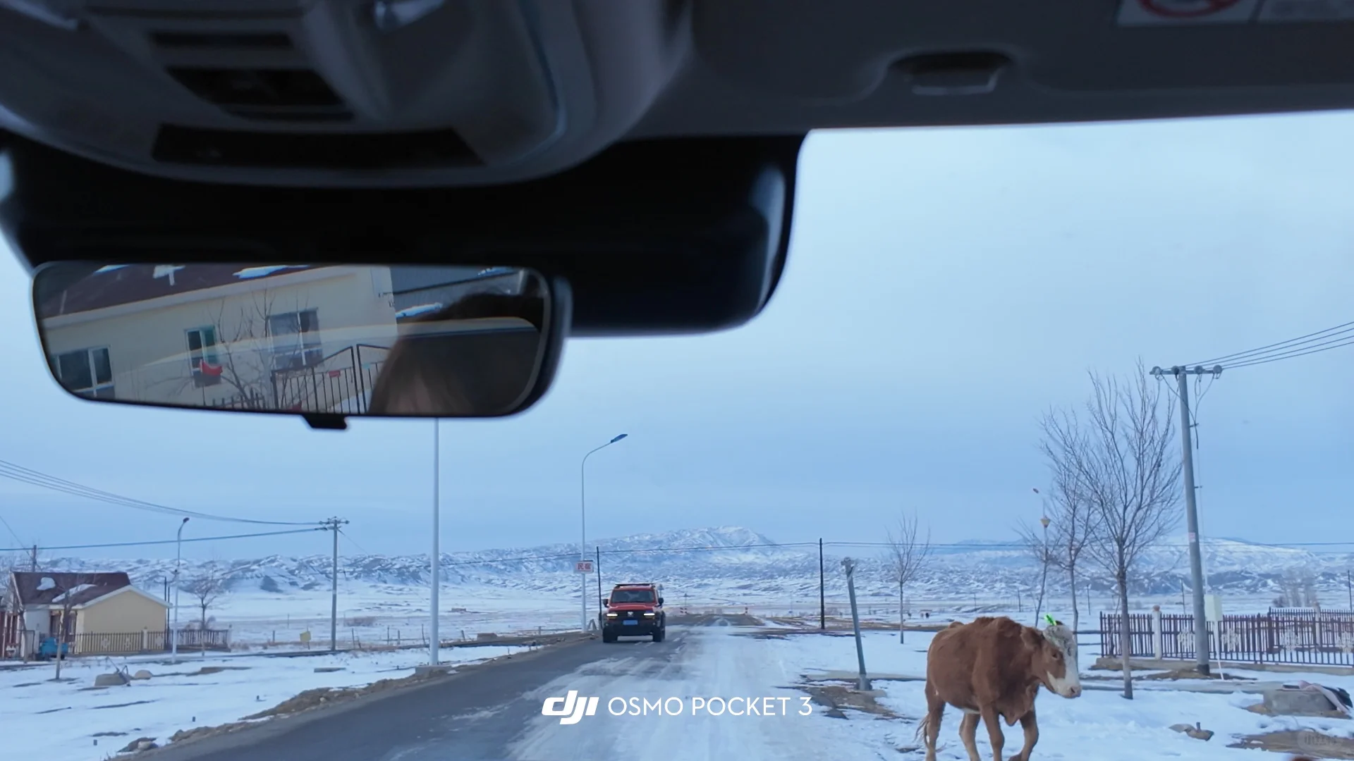 ⚠️阿勒泰市区自驾白哈巴