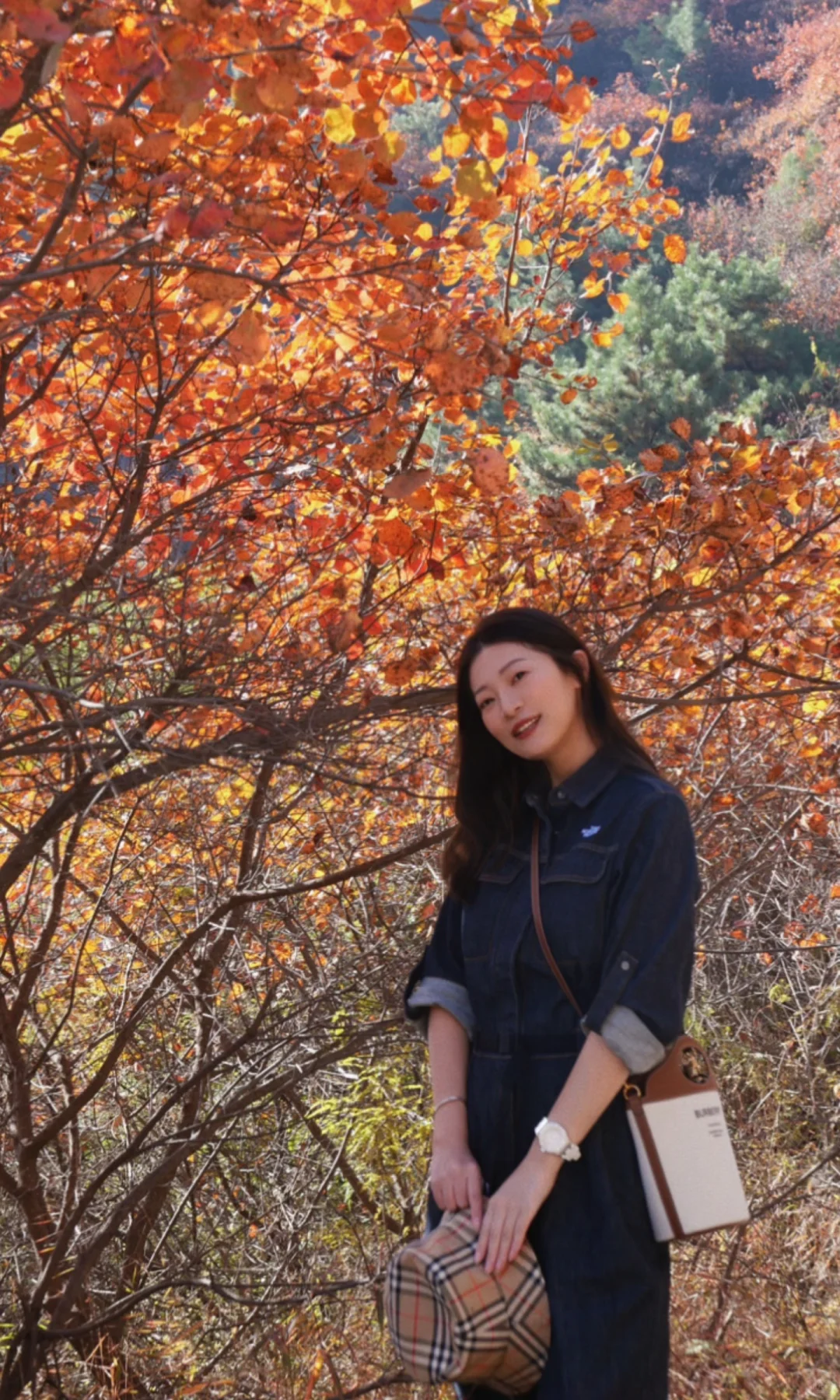 石家庄｜最美红叶观赏路线