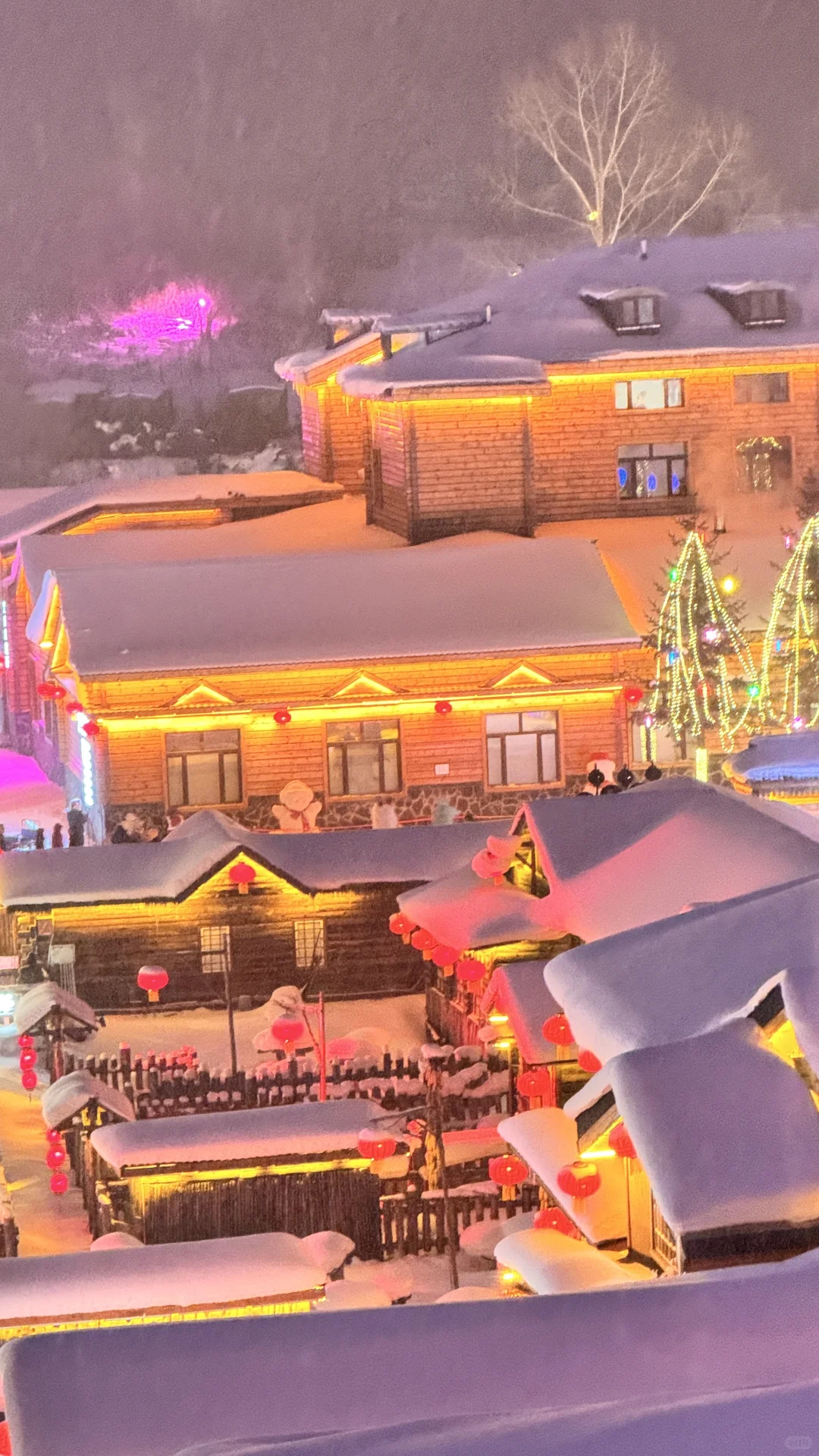 带娃游雪乡超全攻略避坑