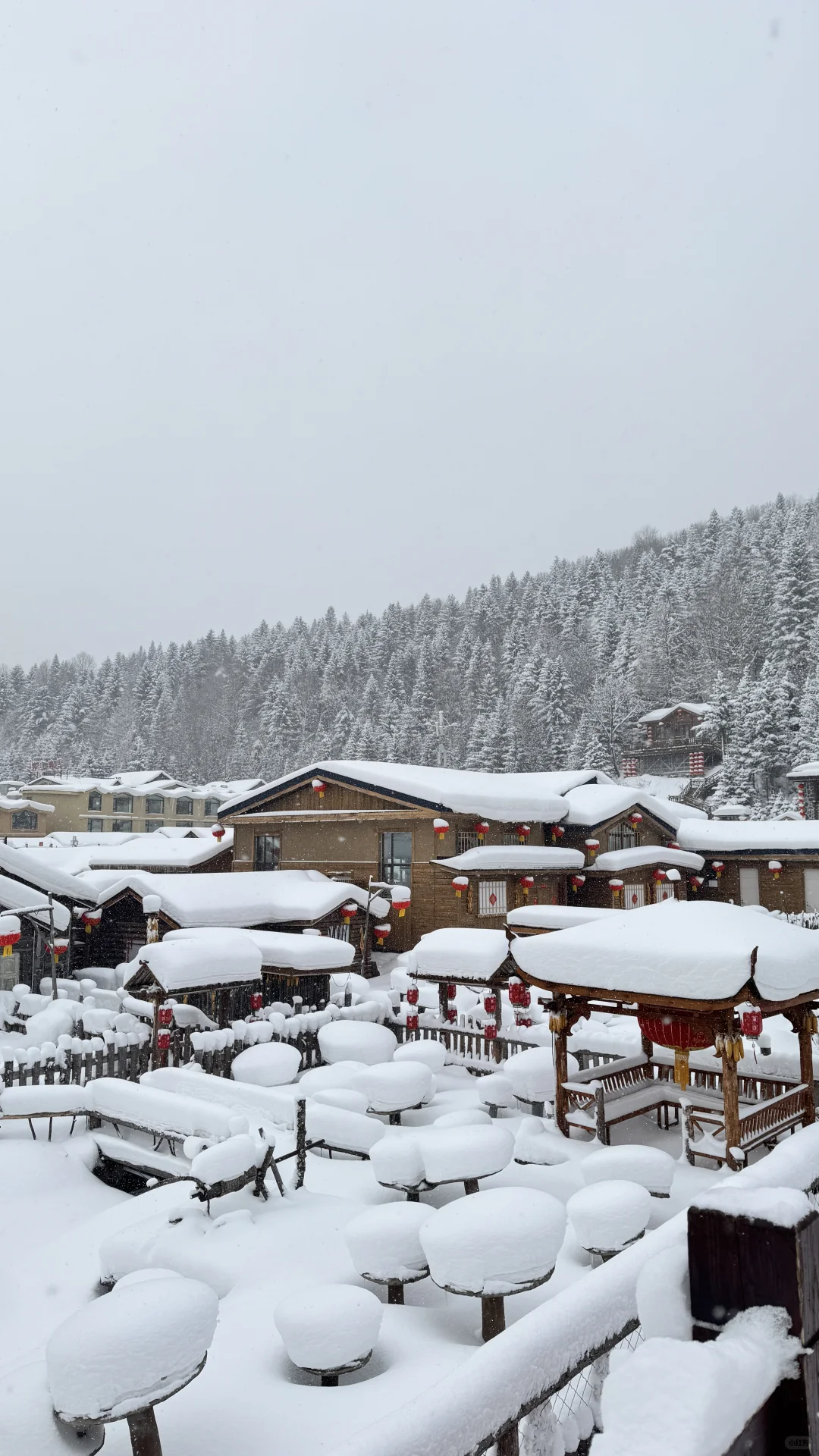 带娃游雪乡超全攻略避坑