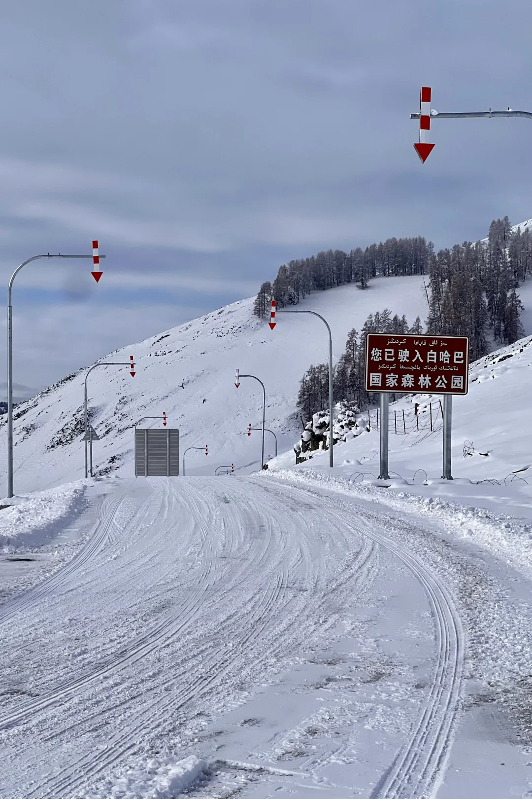 阿勒泰9天8晚旅行花费