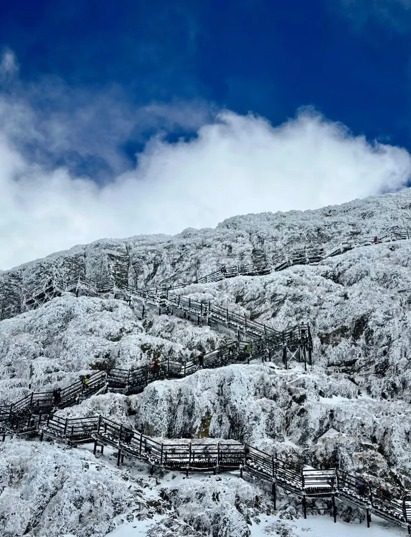 邂逅冰雪仙境❄️轿子雪山最新实况🏔️