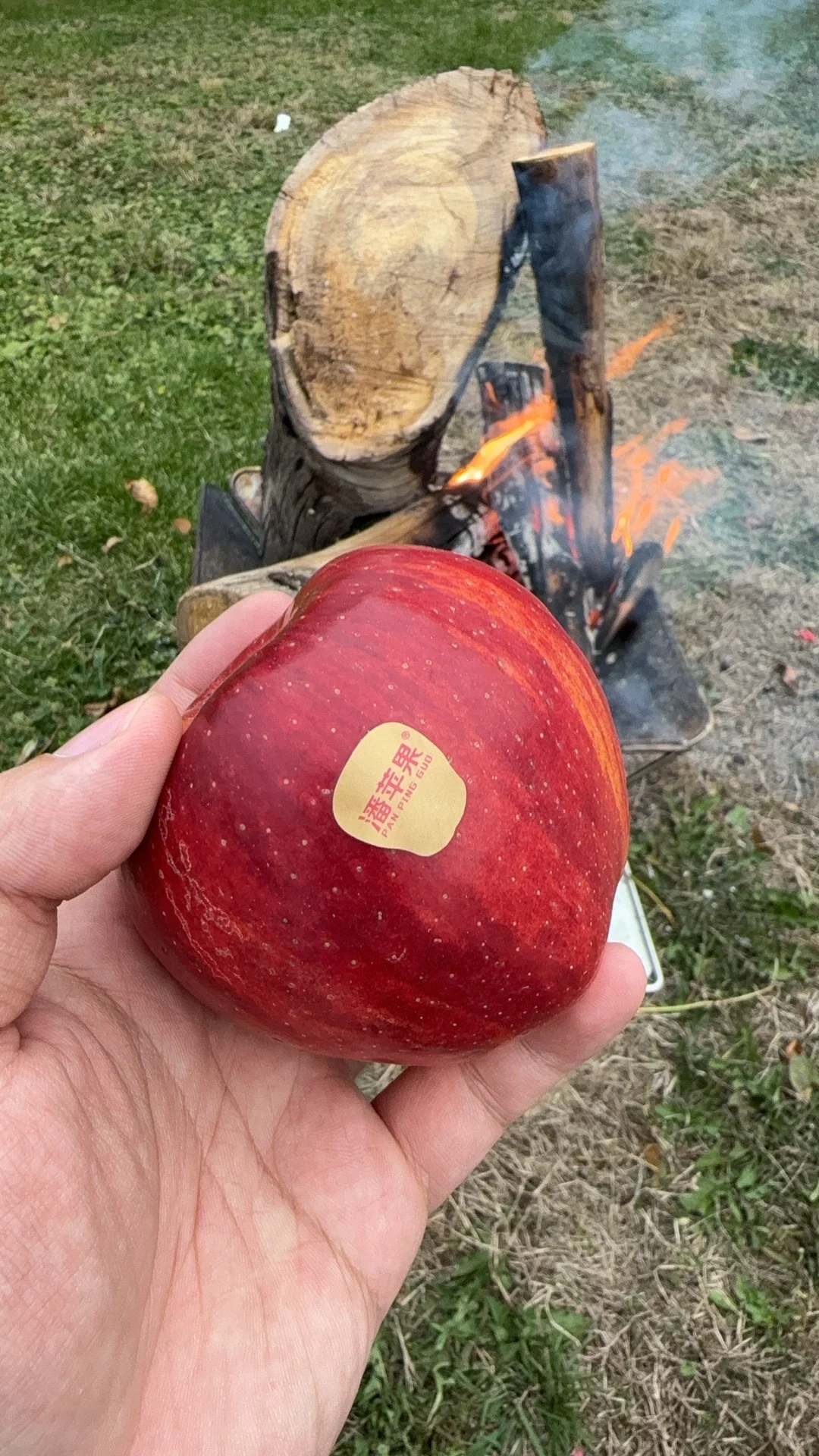 周一不想上班，直接溜去明曦湖躺平！