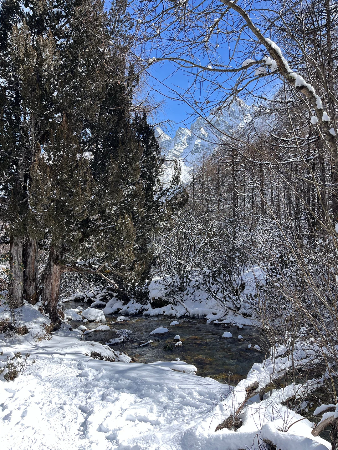 成都出发 | 毕棚沟一日游167💰含门票
