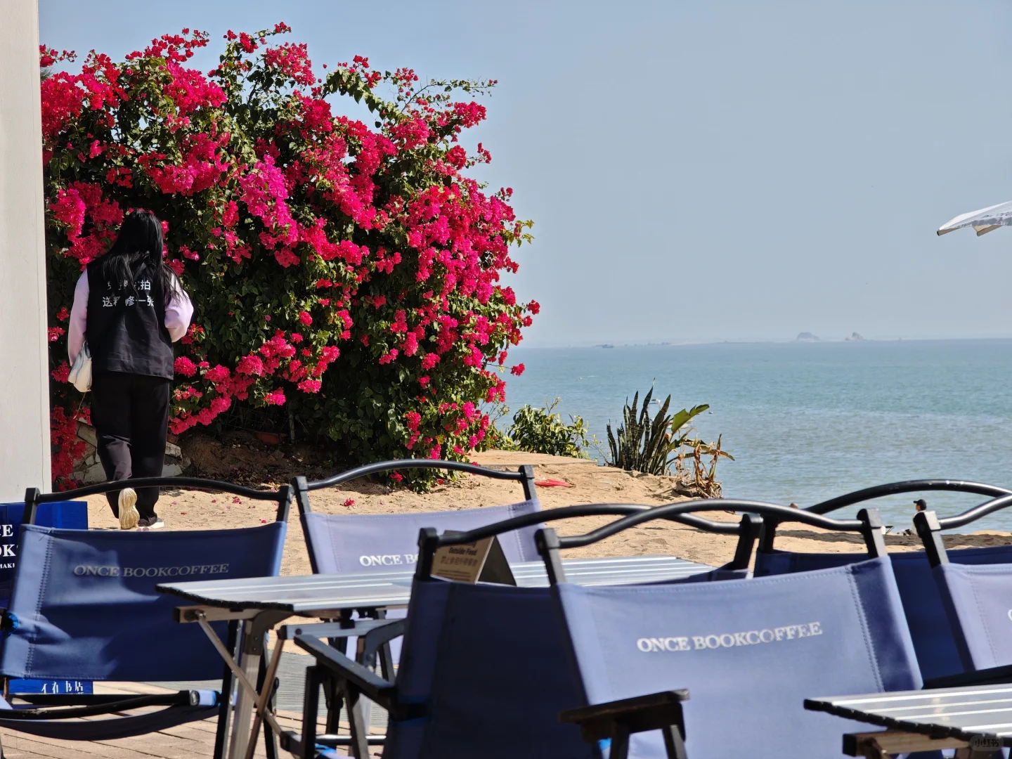 请大数据推给12月要来厦门的朋友