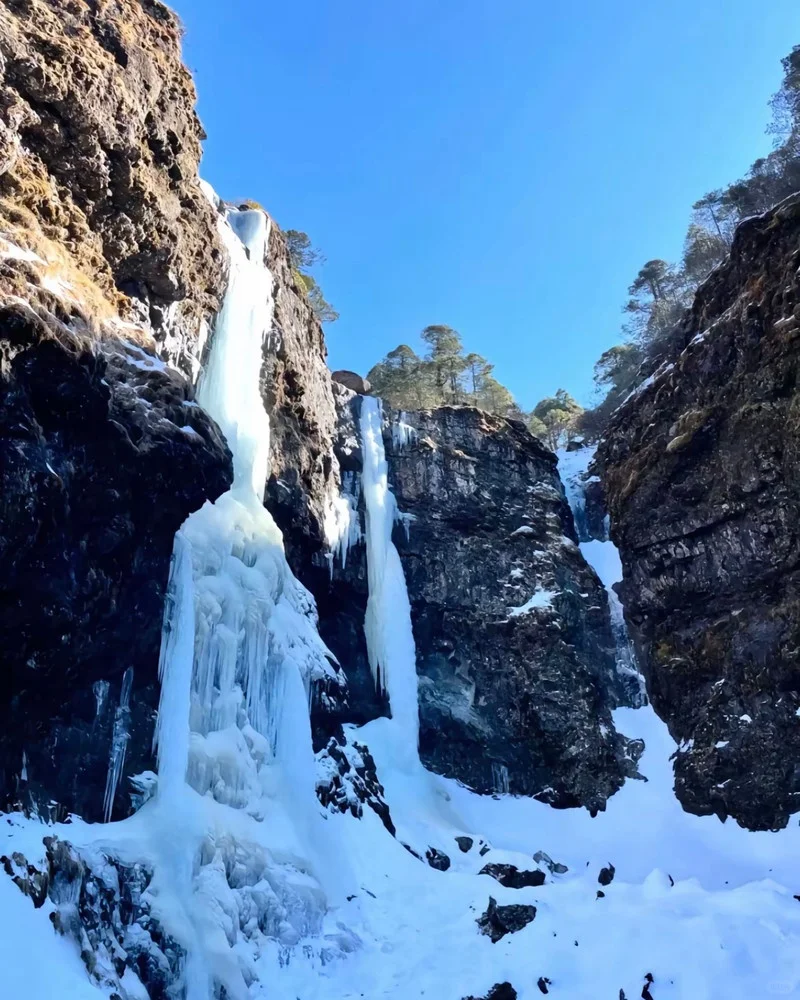 邂逅冰雪仙境❄️轿子雪山最新实况🏔️