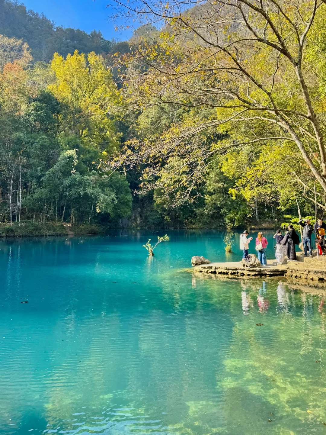 12.1实况！！淡季的小七孔简直人间理想！