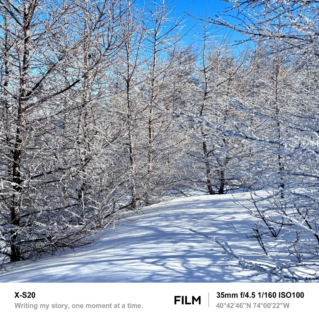 北京最近的林海雪原！桦皮岭可冲！