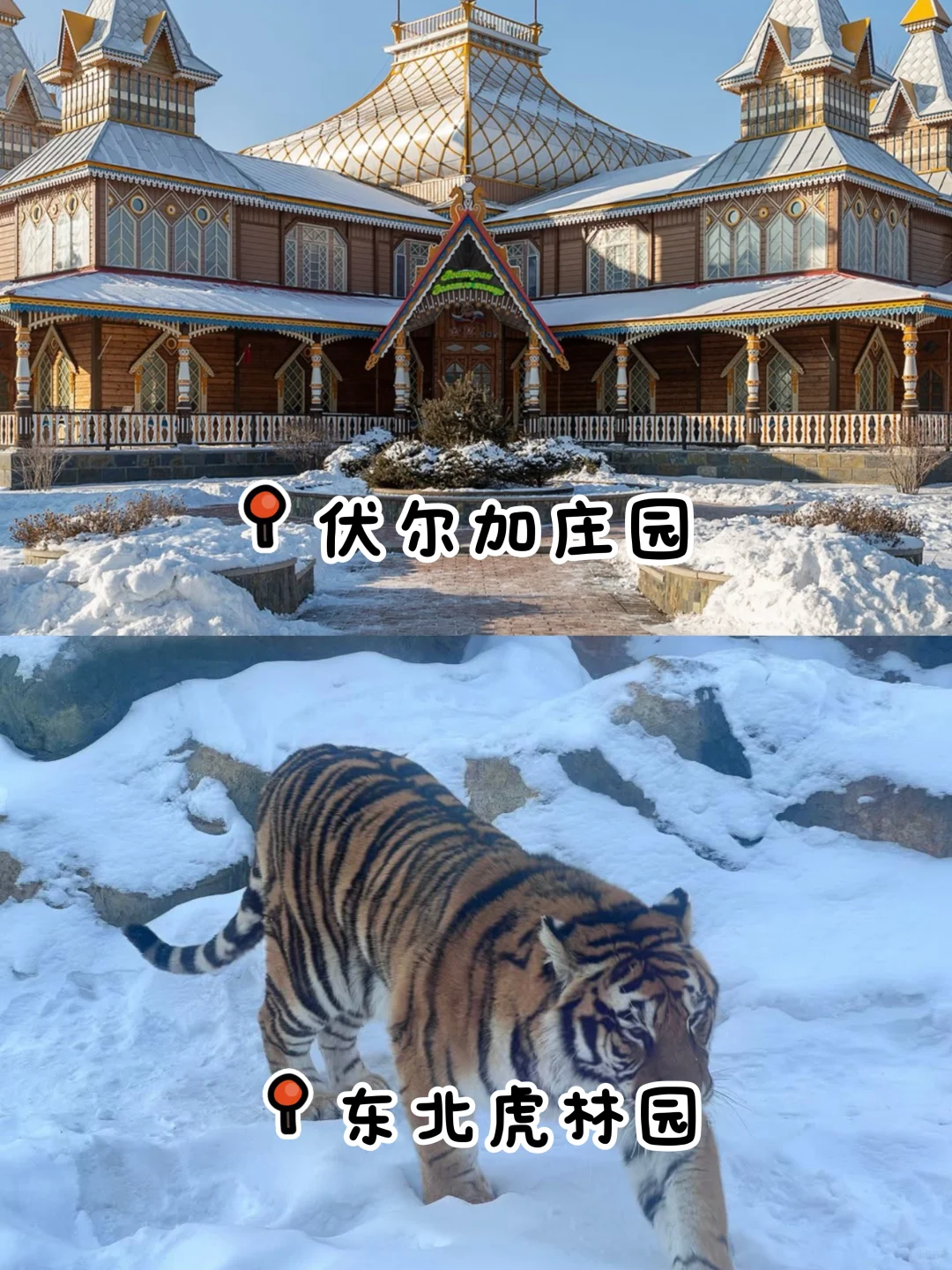 🇨🇳为了这10地方 我愿意飞N次东北!