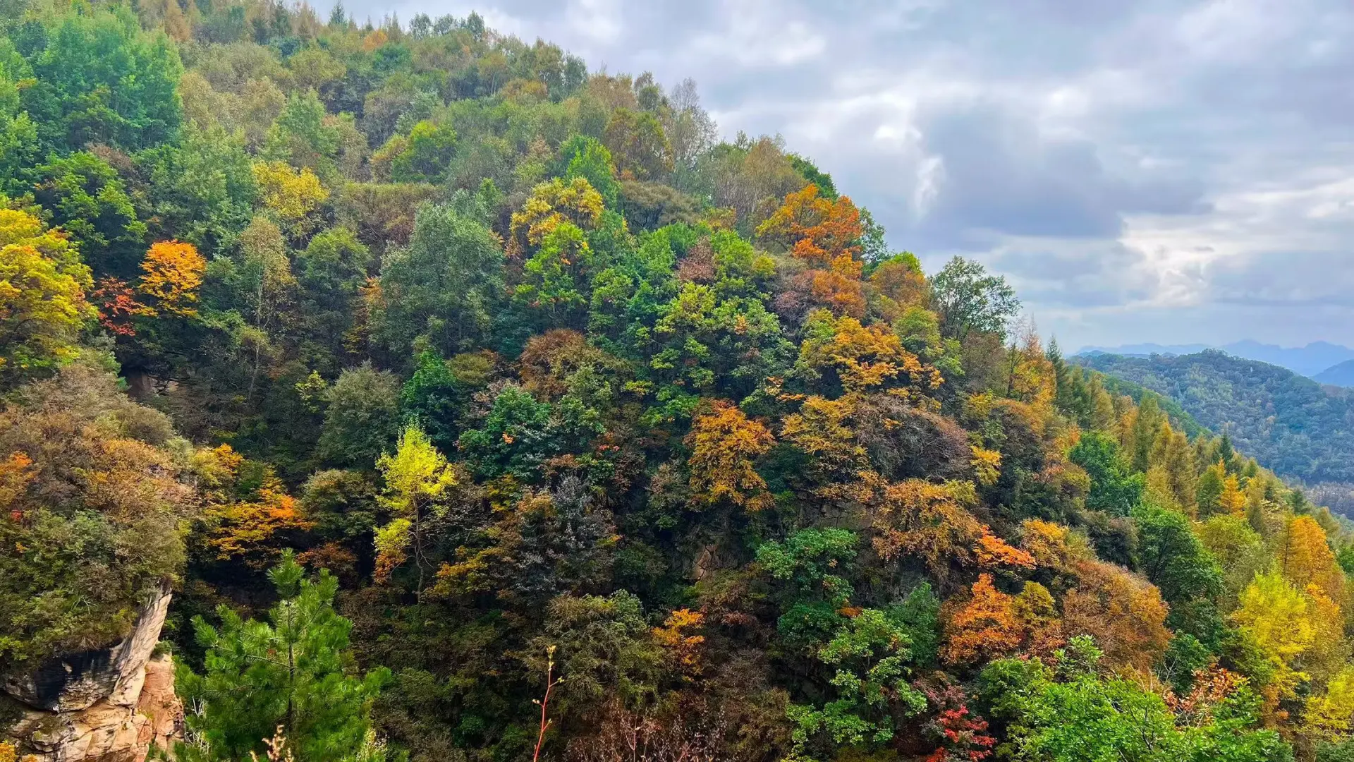 石家庄|没去新疆阿勒泰，被这里美哭了！