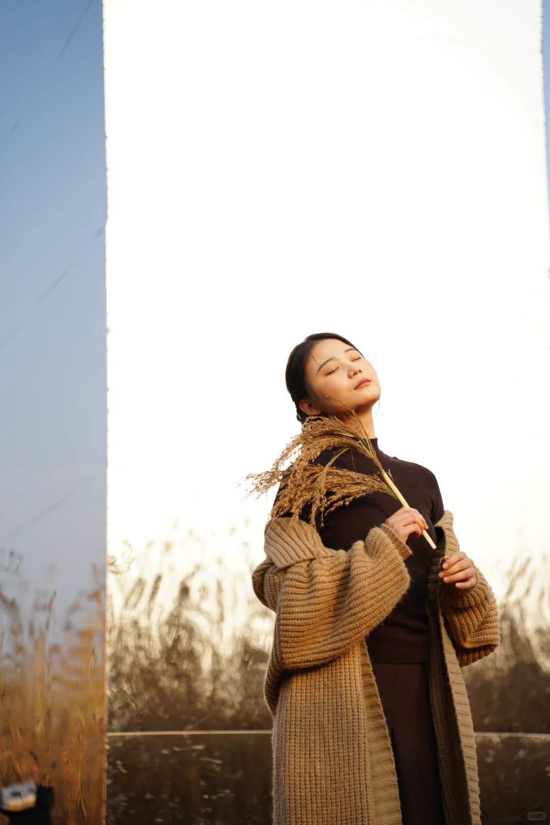 有一种美，叫岳阳的芦苇