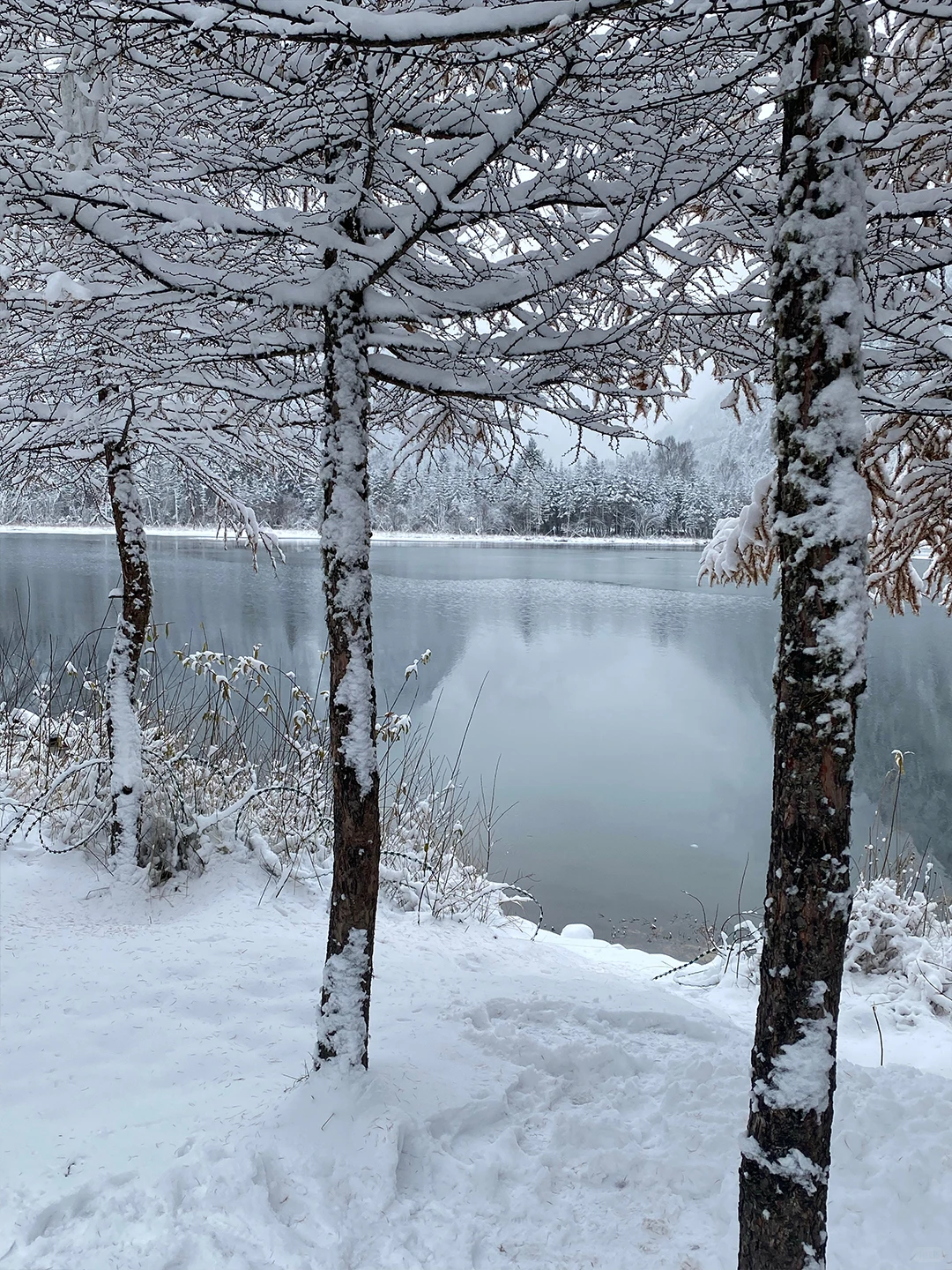 川西毕棚沟📍成都一日游往返167💰含门票