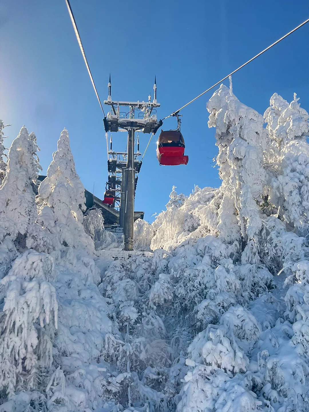 去瓦屋山提前买票❗️门票➕双索道套票168💰