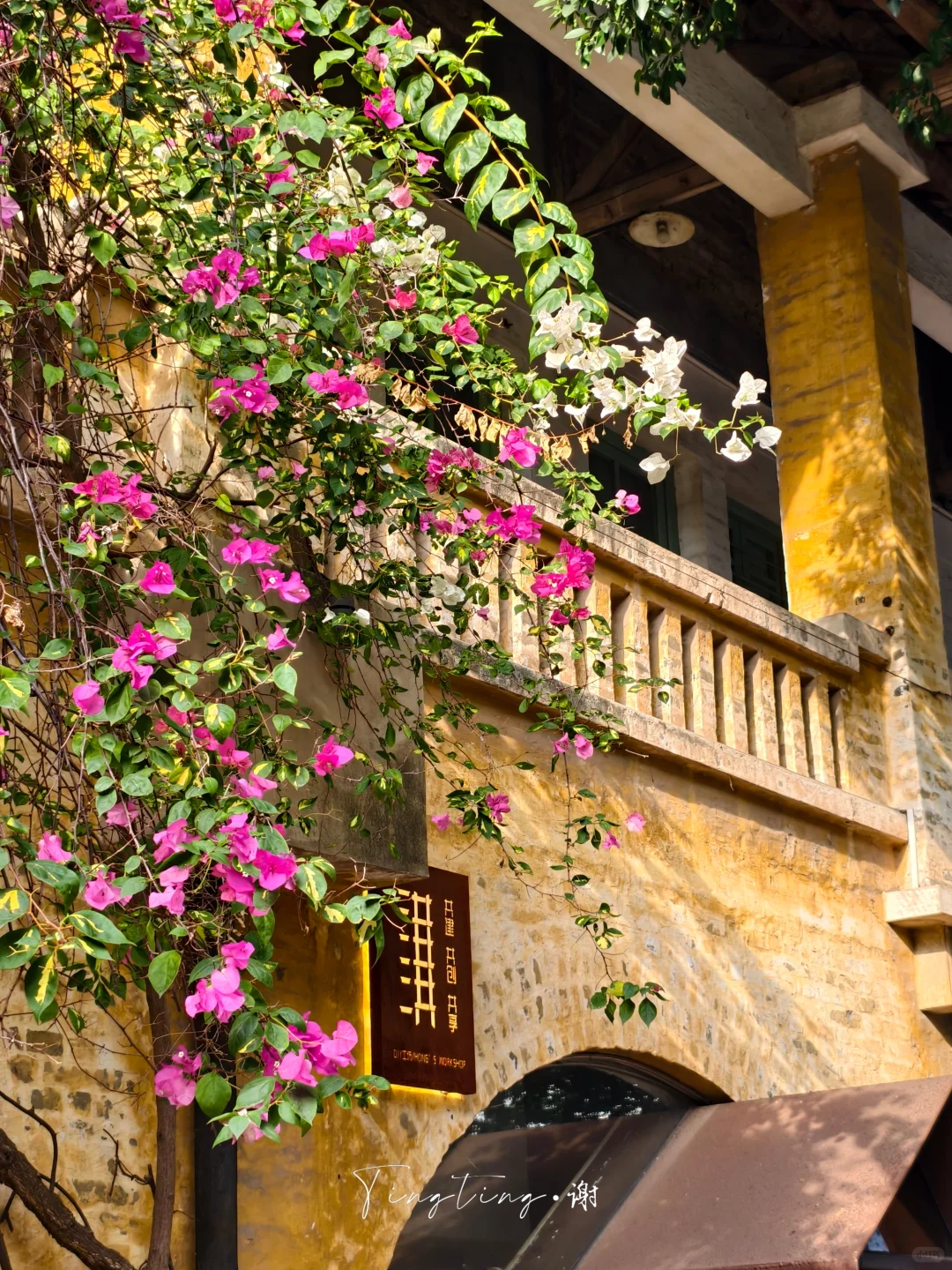 🌺花都开好了。