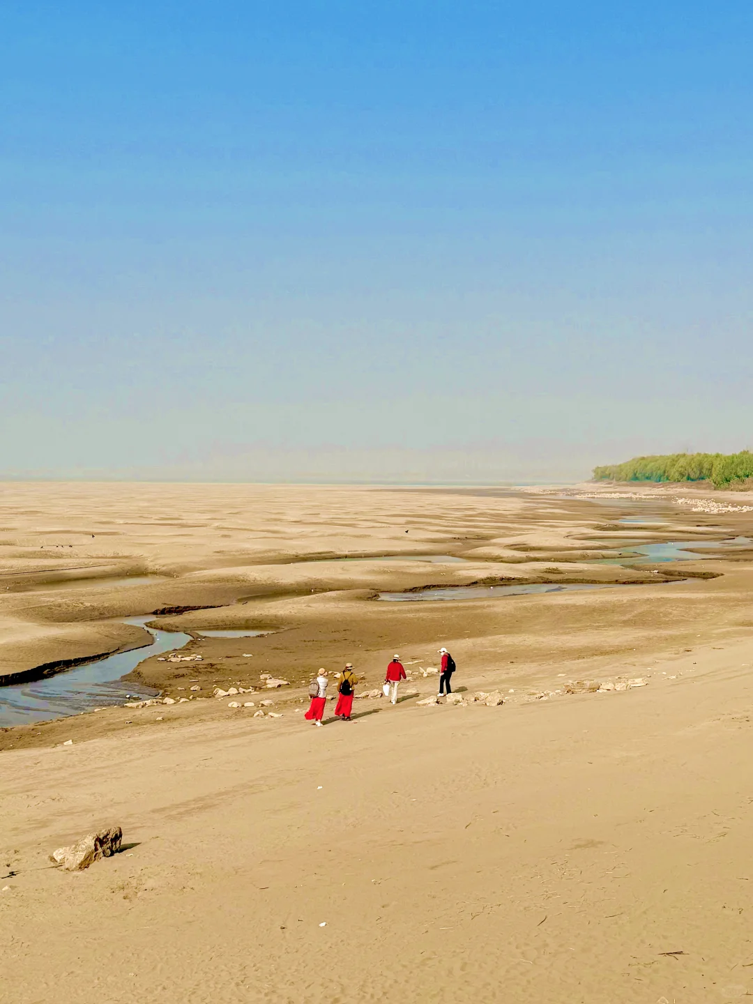 小岛秋天|龙鳞沙滩看实况图有落叶,江风声