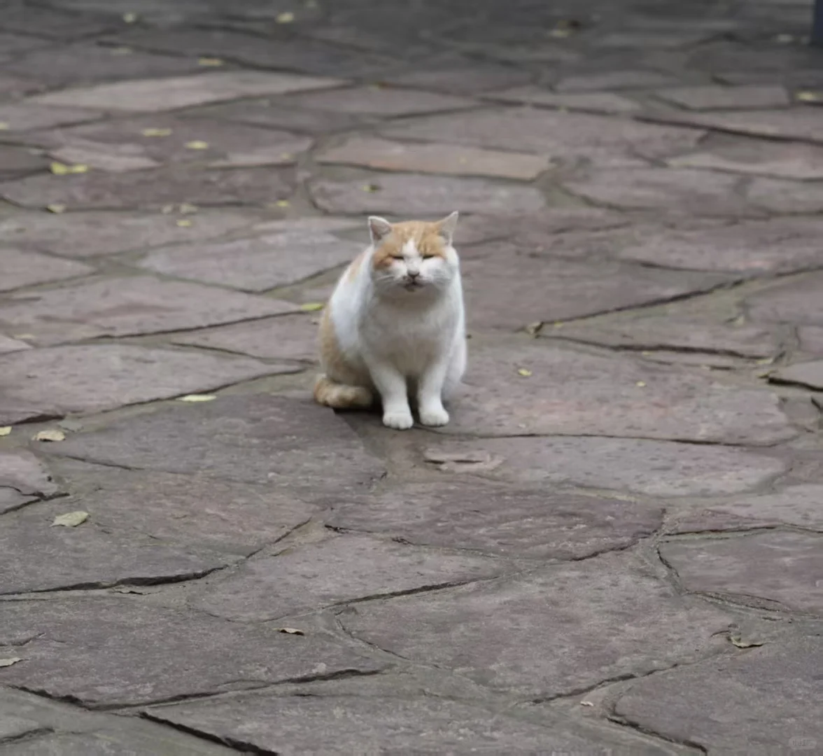 周末闯入时光里的小惊喜✨