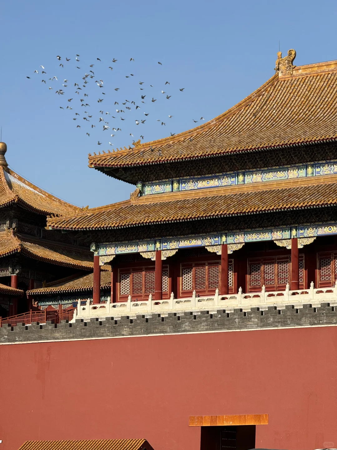 《北京七天六晚流水账》真的好好玩啊😭😭。。。