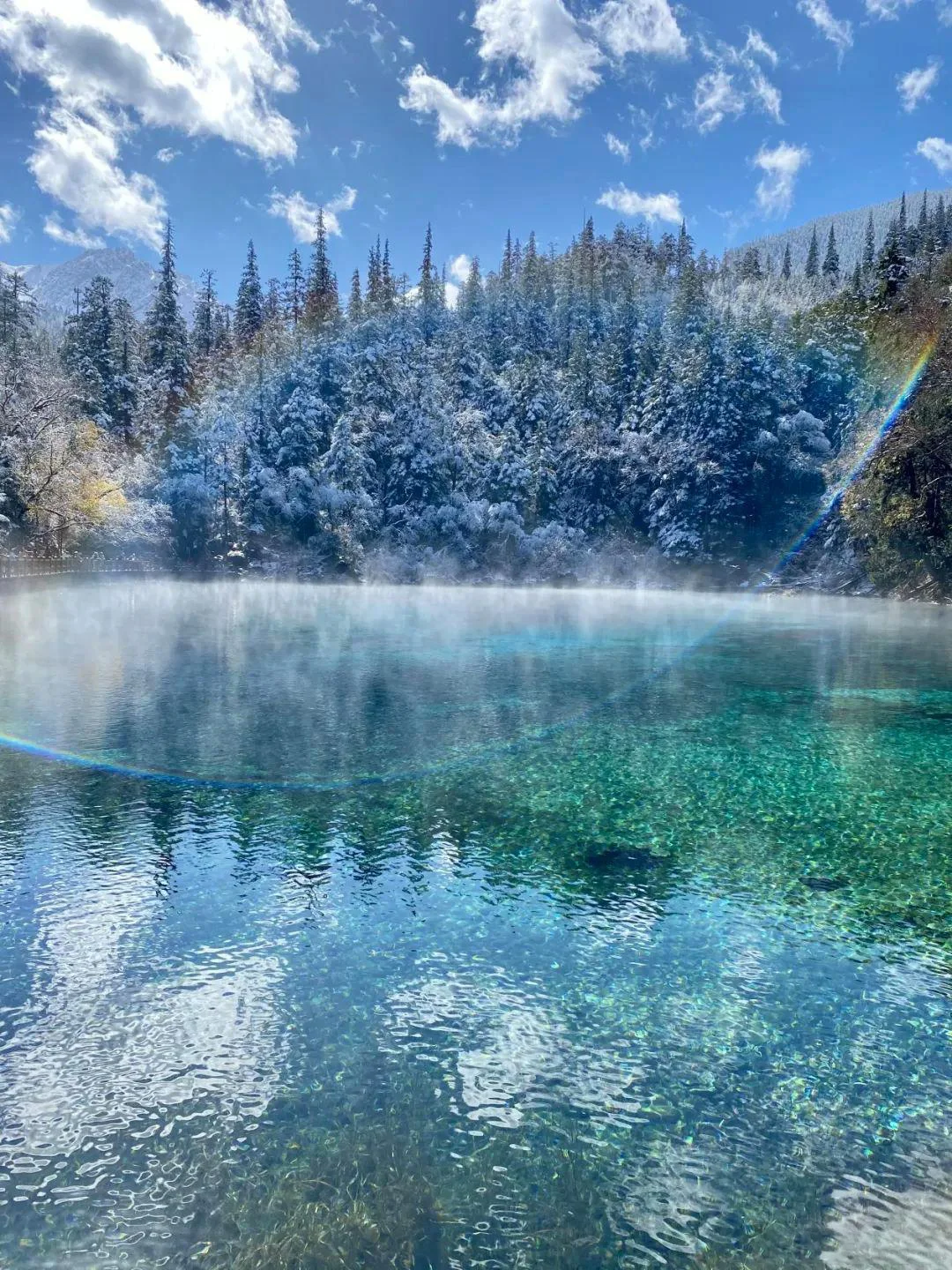 11.17📍九寨沟❗雪景+半价门票真心推荐