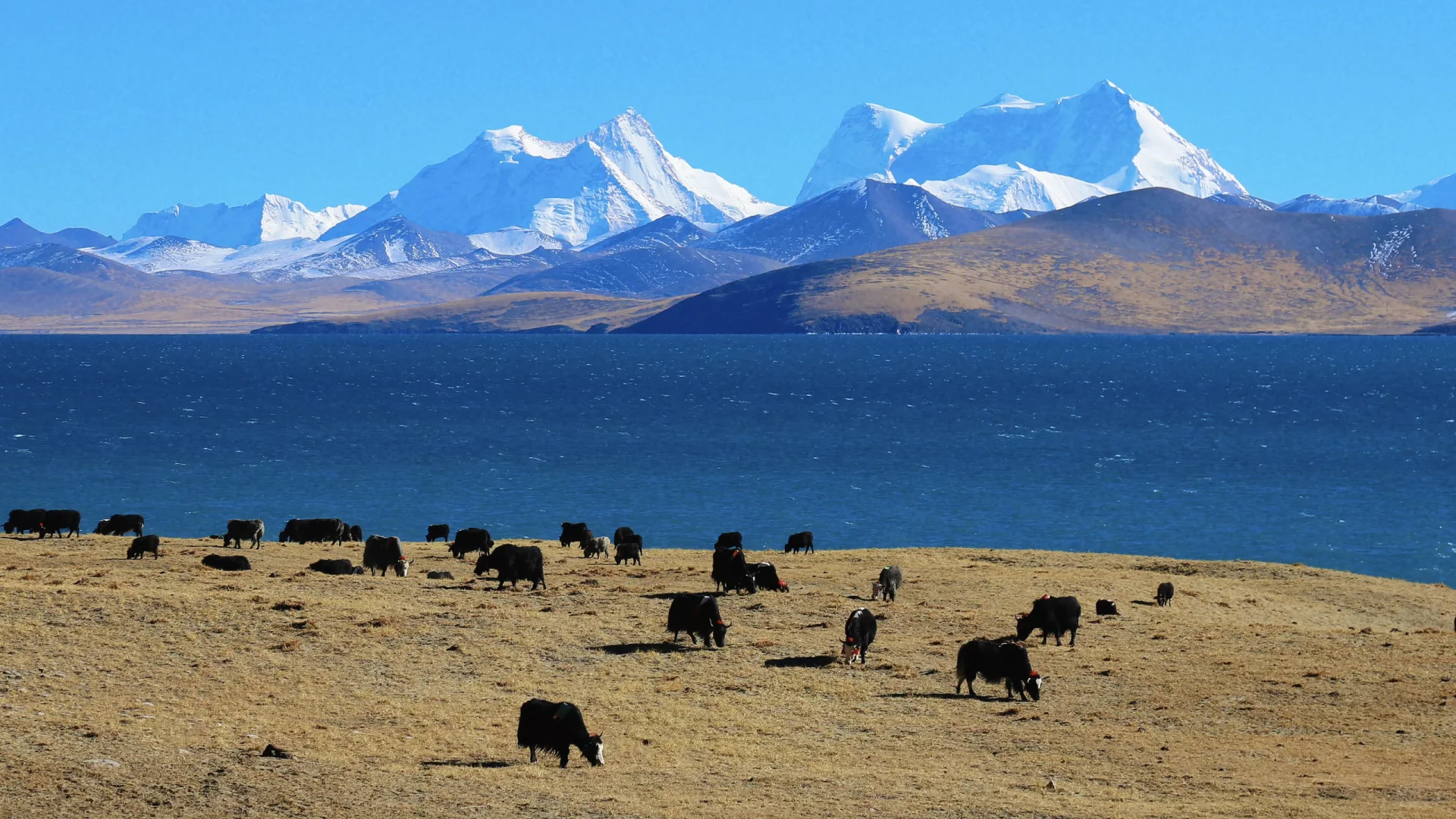 还是拍不出现实的震撼