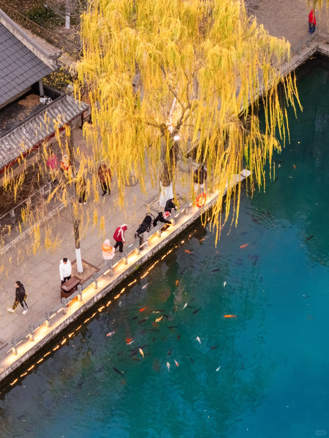 济南不只是泉城， 一日泉水City Walk