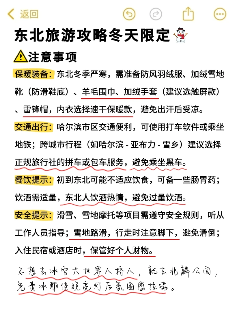 去东北前一定要看❗东北旅游攻略冬天限定