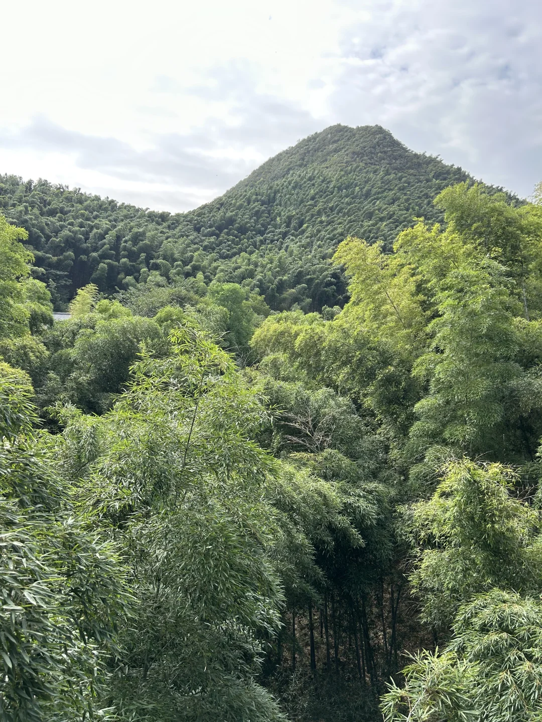 狗狗友好景区嘿嘿嘿