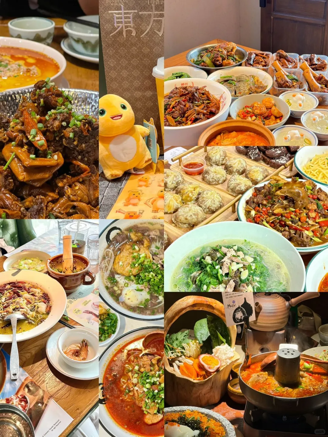 郴州春节游玩景点推荐🤚收藏攻略❗️