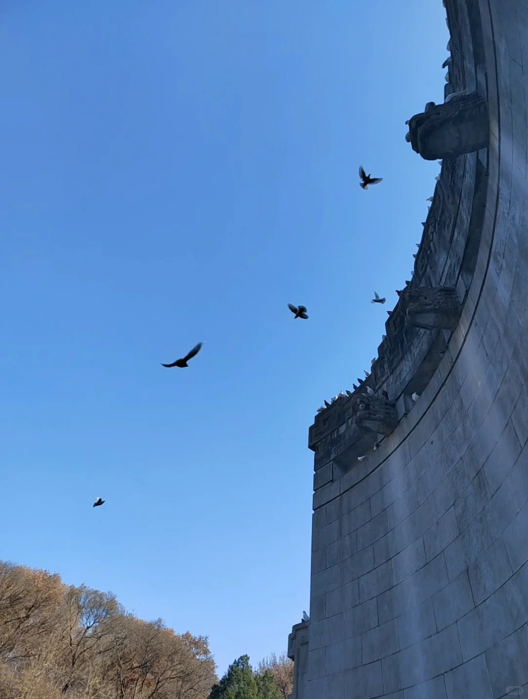 第2⃣️站|音乐台