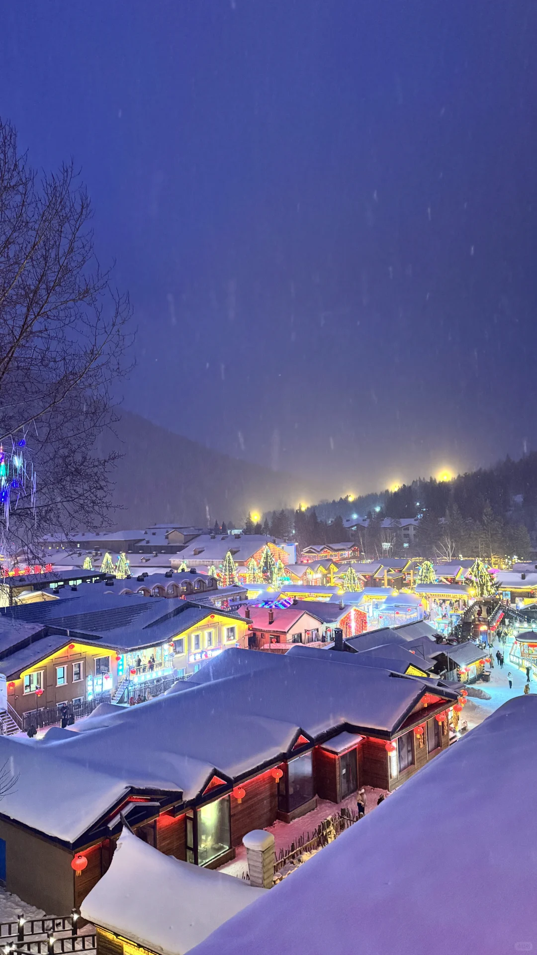 带娃游雪乡超全攻略避坑