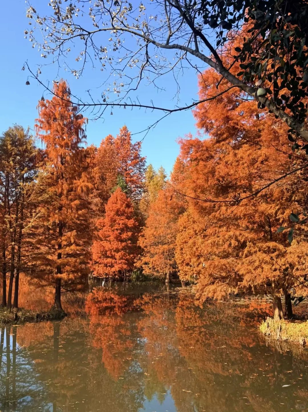 南京会惩罚每一个不做攻略就来的游客😭